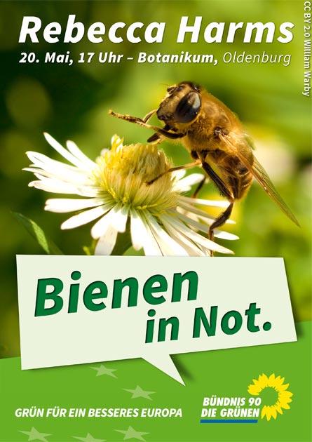Bienen in Not.